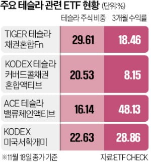 '테슬라 포모' 확산 ETF도 폭풍쇼핑