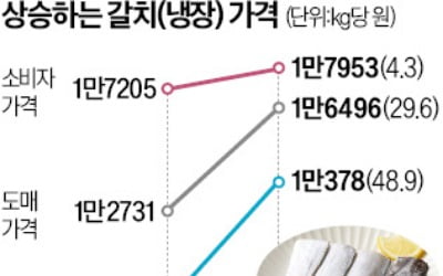 "고수온에 갈치 안잡혀"…제주 산지서 50% 껑충