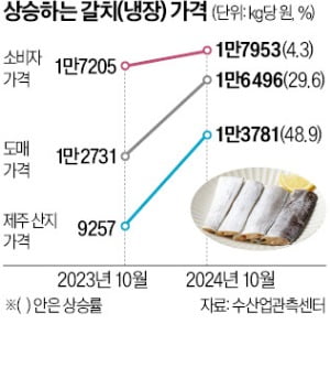 "고수온에 갈치 안잡혀"…제주 산지서 50% 껑충