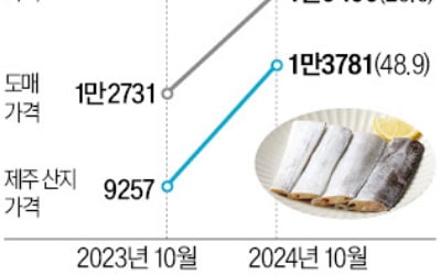 "고수온에 갈치 안잡혀"…제주 산지서 50% 껑충