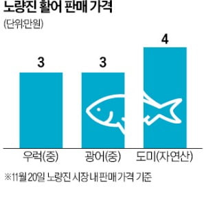 활어 판매 '영역침범'?…노량진 상인간 갈등 증폭