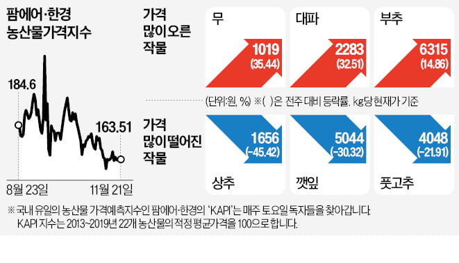 "배추 가격만 떨어진 게 아니었네"…주부들 김장 부담 덜었다