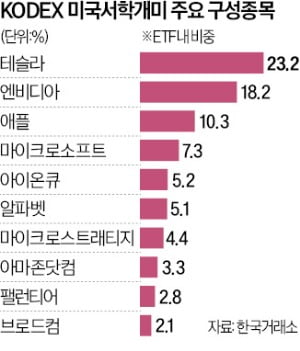 서학개미 '최애'만 담았는데 '이럴 수가'…놀라운 일 벌어졌다