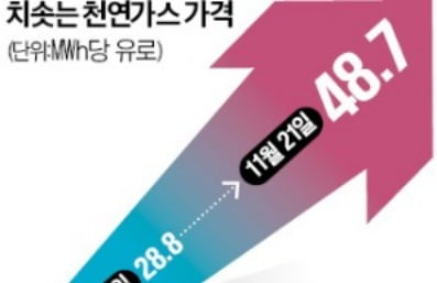 유럽 강타한 '녹색 정전'…글로벌 천연가스값 폭등