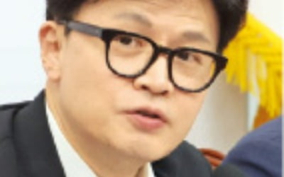 정년 연장·토큰카지노 입플 법제화…정책 행보로 차별화하는 韓