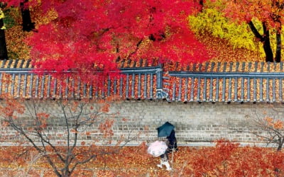 [포토] 겨울 재촉하는 비…27일 28일 전국에 눈