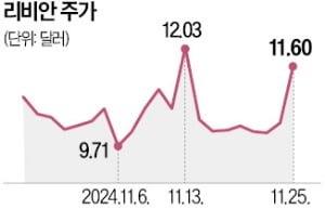 캘리포니아-머스크 충돌…테슬라 뺀 전기차株 웃다