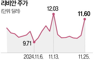 캘리포니아-머스크 충돌…테슬라 뺀 전기차株 웃다