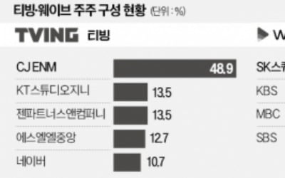 이용자 1200만…토종 '메가 OTT' 내년 상반기 출격