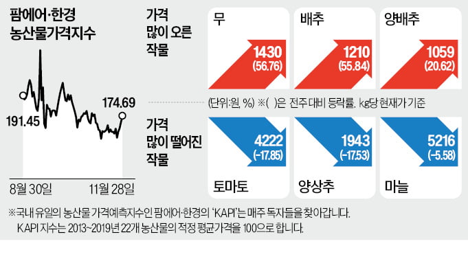 김장철 폭설에…배추 도매가 하루새 40% 폭등