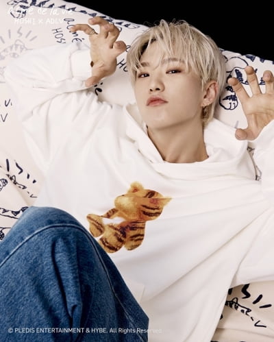 아크메드라비, '호시X아크메드라비' 라이선스 컬렉션 발매