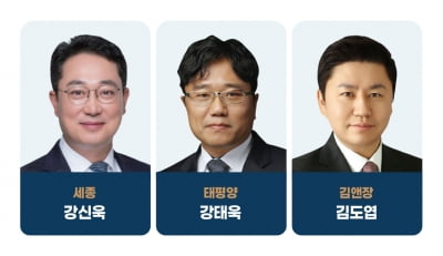 IT 최고의 로이어는 ‘세종 강신욱·태평양 강태욱·김앤장 김도엽’[2024 대한민국 베스트 로펌&로이어]