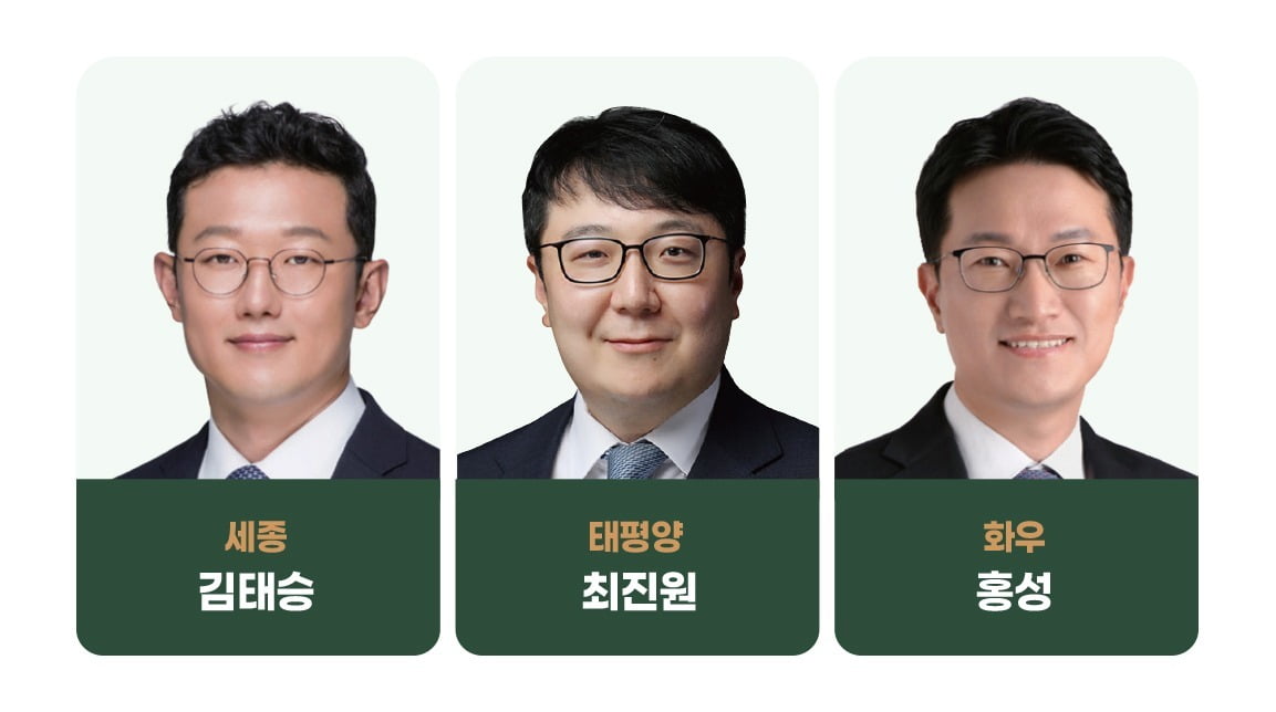 ‘2024 대한민국 베스트 로펌&로이어’ 중대재해 부문 베스트 변호사. 
법무법인 세종 김태승·법무법인 태평양 최진원·법무법인 화우 홍성 변호사. 그래픽=박명규 기자