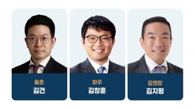 경영자문 최고의 로이어는 '율촌 김건·화우 김창훈·김앤장 김지평'[2024 대한민국 베스트 로펌&로이어]