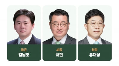 부동산 최고의 로이어는 '율촌 김남호·세종 허현·광장 유재성'[2024 대한민국 베스트 로펌&로이어]