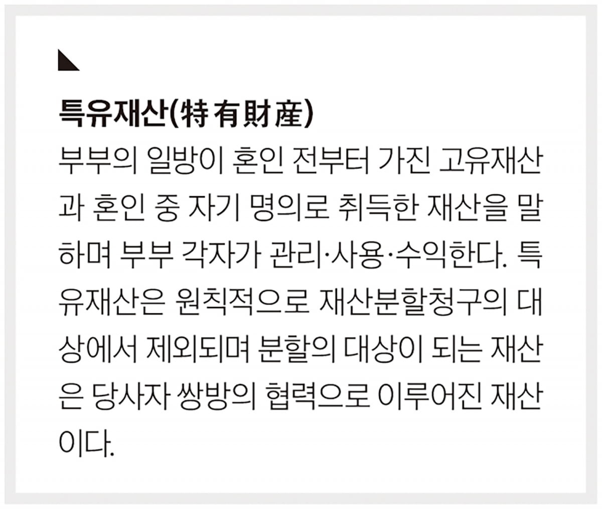 ‘특유재산’ 놓고 격돌…대법 간 최태원·노소영 재산분할