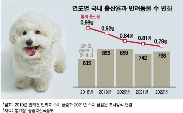 한 집 걸러 키우는 반려동물에 ‘펫팸족’ 맞춤 산업도 ‘활짝’