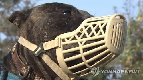 "개 짖는 소리 안 나게 해라…과태료 14만원"