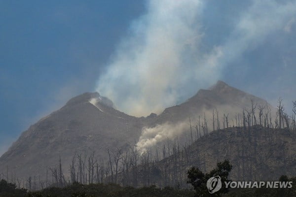 화산폭발에 아수라장…"비상사태 선포"