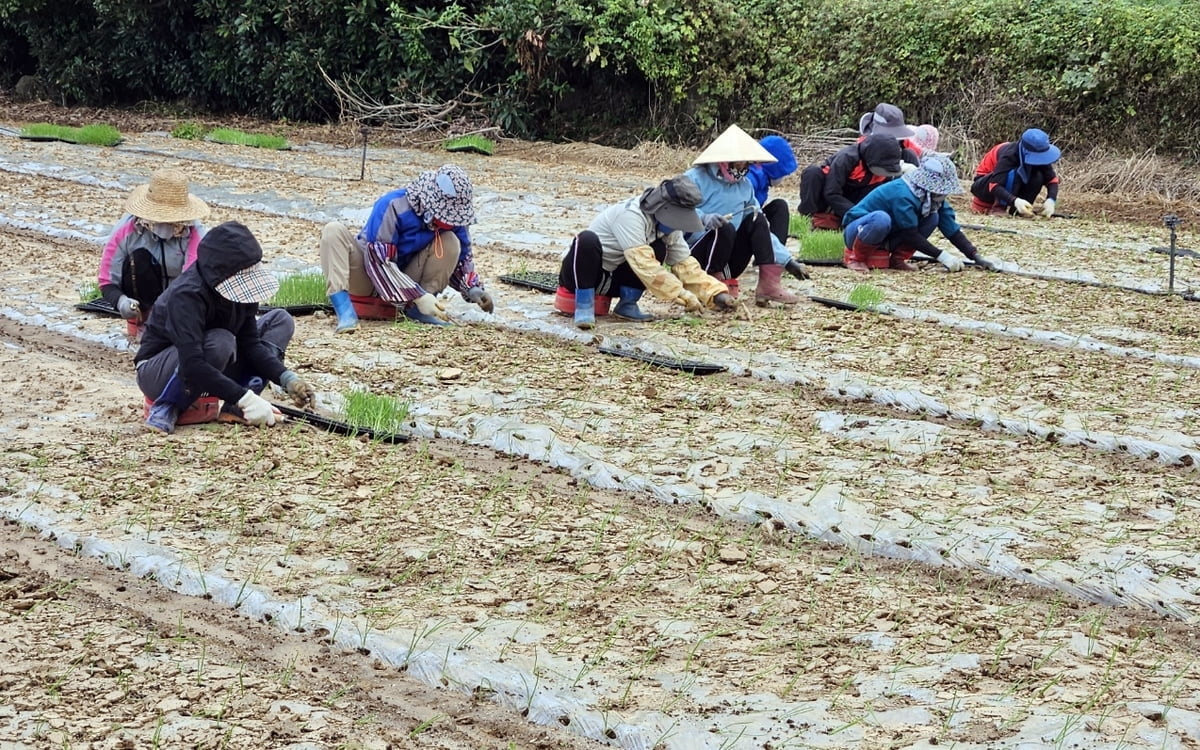 베트남 근로자 13만명 해외로…한국행 '3위'