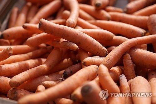 유명 식료품점서 대장균 오염 당근 유통...1명 사망