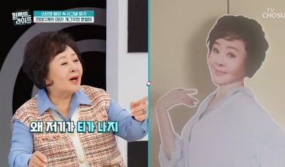 [종합] '76kg' 문영미, '사진 합성설' 인정했다…"다이어트 때문" 해명('퍼펙트 라이프')