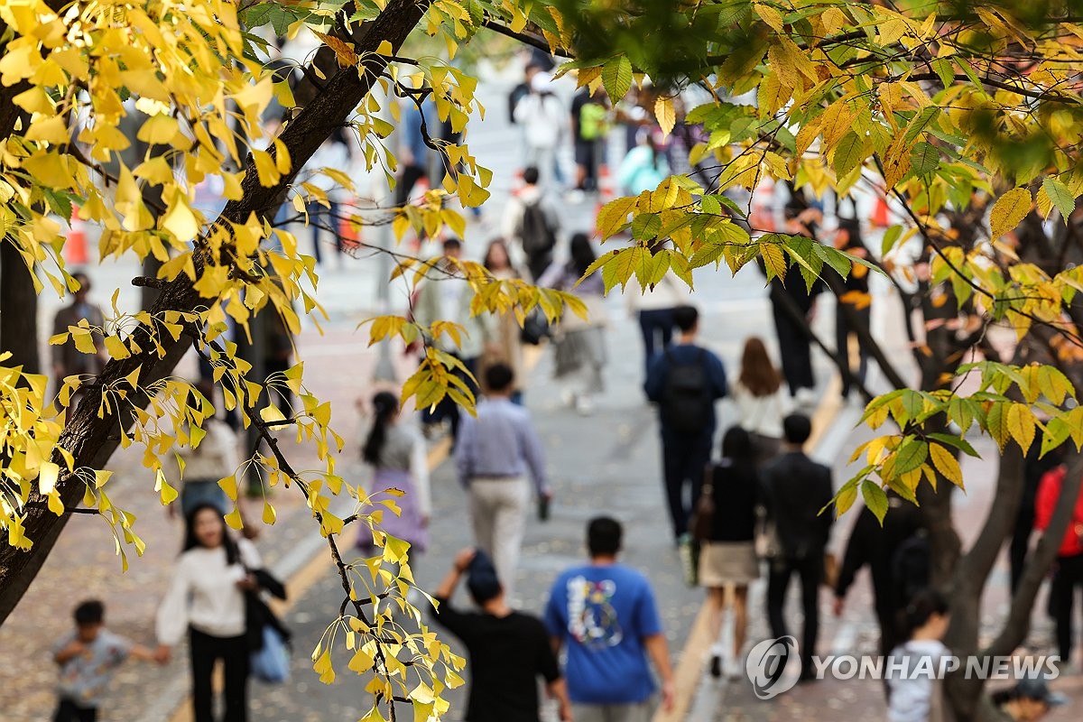 낮에 포근하고 일교차 커…오전 짙은 안개 주의