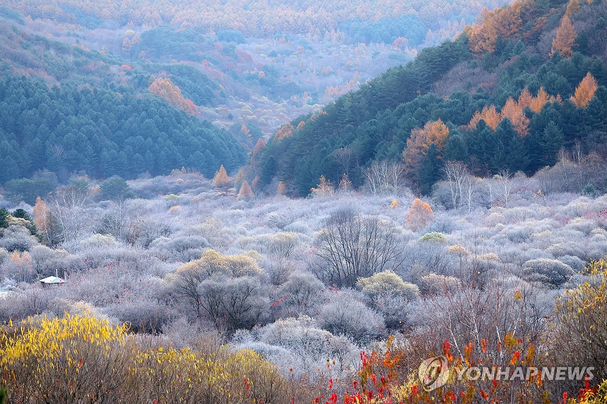 전국 대체로 맑고 일교차 큰 날씨…낮 최고 16∼20도