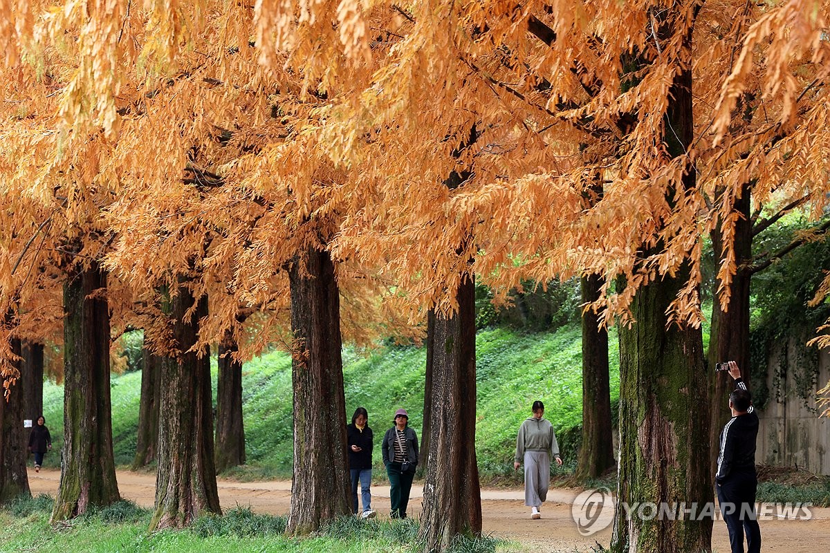 전국 흐리고 곳곳 비…낮 최고 17∼23도 '포근'