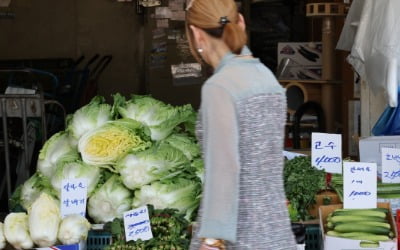 "김장철 코앞인데 어쩌나" 걱정했는데…주부들 '한숨' 돌렸다