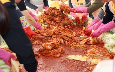 "주부들 한숨 돌렸다"…평년보다 낮아진 올해 김장비용 얼마?