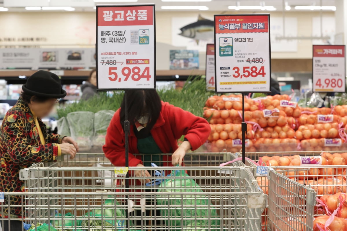  김장철을 앞두고 서울의 한 대형마트에서 시민들이 배추를 고르고 있다. /사진=연합뉴스