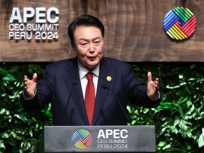 윤 대통령 "인공지능 대전환 시대…'APEC AI 표준 포럼' 창설 제안