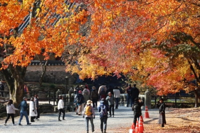 '소설' 금요일 큰 추위 없을 듯…낮 최고 16도