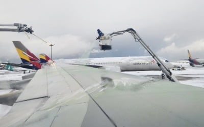 [속보] "폭설에 전국 공항 국내선 11편·국제선 1편 결항"