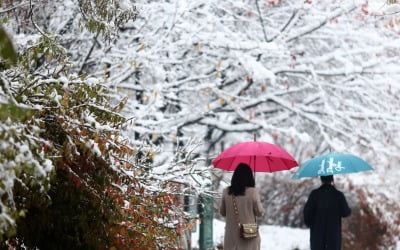 [속보] 서울 전역에 대설경보 해제