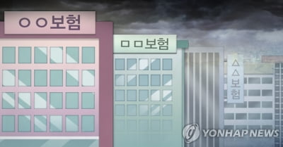 '해약환급준비금'에 엇갈리는 보험주...삼성화재 올해 30% 올랐는데 현대해상은 -6%