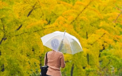 한파 없이 포근한 수능일…늦은 오후부터는 비