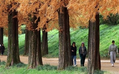 전국 흐리고 곳곳 비…낮 최고 17∼23도 '포근'