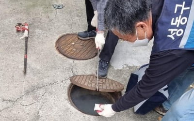 '모기 유충 겨울에 잡는다'…성동구, 월동 모기 퇴치 착수