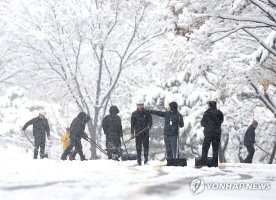 오늘도 폭설 또는 비…낮 최고 3∼13도