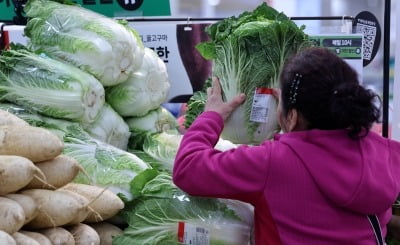 "김장 어쩌나 걱정했는데"…김치·김장재료 '드디어 풀린다'