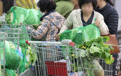 "김장 어쩌나 걱정했는데"…김치·김장재료 '드디어 풀린다'