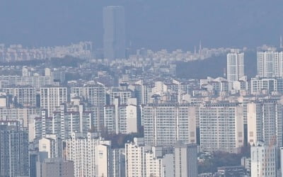 "부부인 척 행세까지"…2030 '임장 크루'에 불만 터졌다