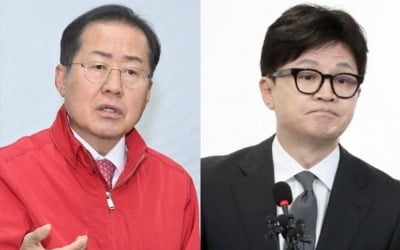 "그 애가 대통령 행세, 尹 치 떨릴 것"…홍준표, 연일 한동훈 저격