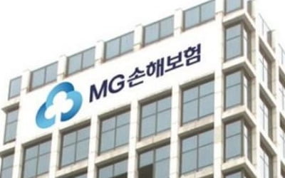 MG손해보험 인수 우선협상 대상자에…메리츠화재 유력