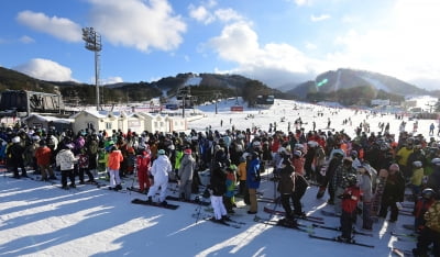 "비싼 이유 있었네"…비발디파크 렌탈샵 알고 보니 '발칵'