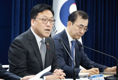 "합병·분할시 소액주주보호"…정부 자본시장법 개정안 발표