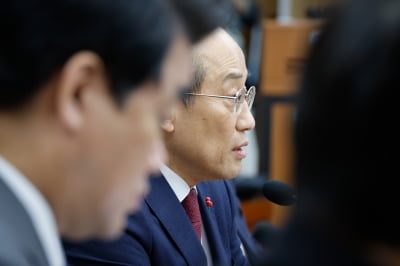 與 "민주당, 한국 정당 맞냐…간첩죄 확대에 부정적 돌변"