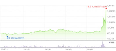 '초유의 계엄 사태' 와중에 오른다…최고가 찍은 이 종목